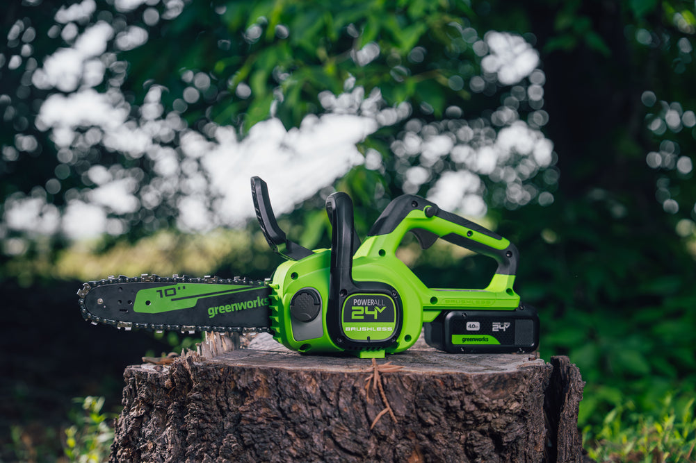 POWERALL 24V Motosega 25cm - Batteria 2Ah