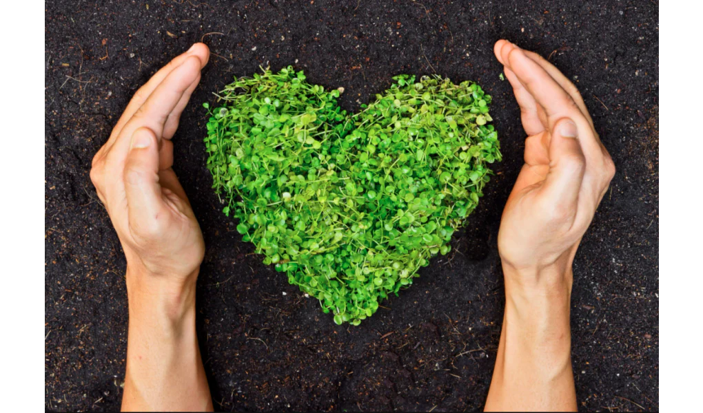 4 Quick Tips: How to Be More Environmentally Conscious