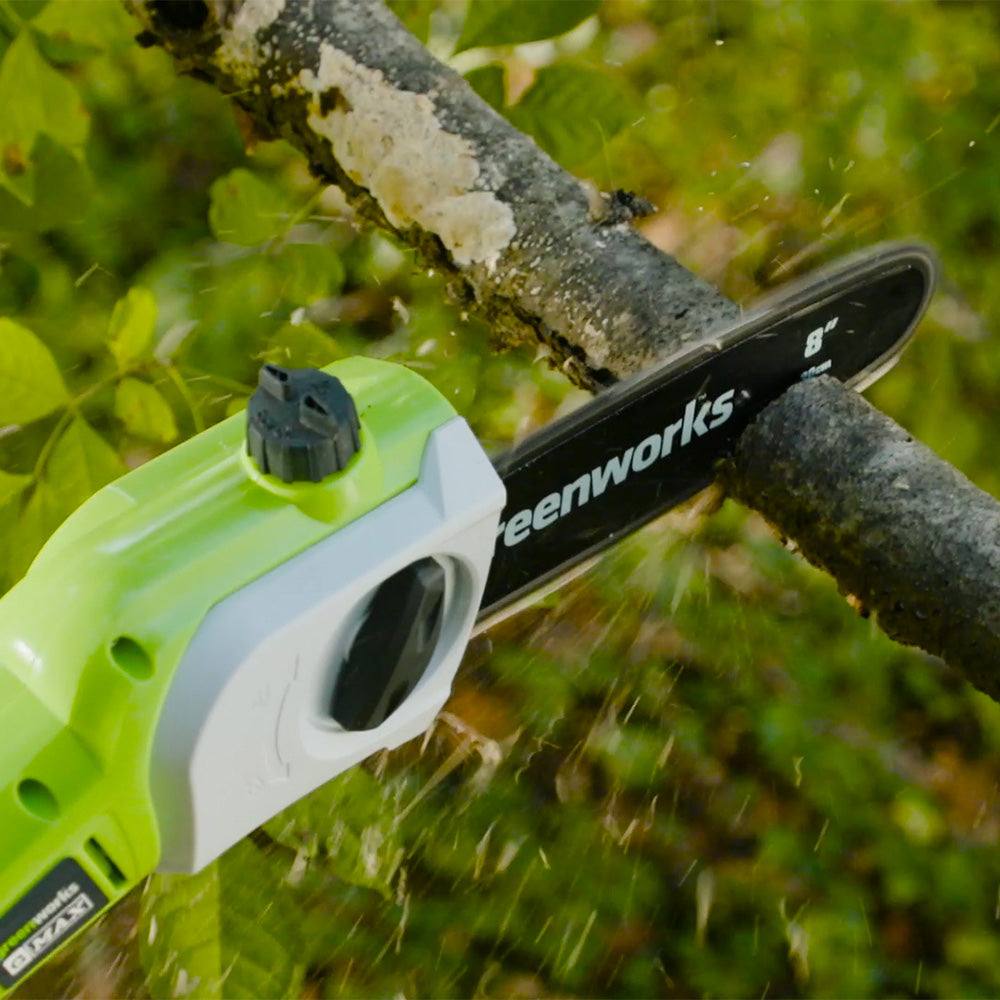 POWERALL 24V Potatore a palo - Batteria 2Ah