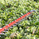 24V Tagliasiepi 61cm