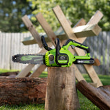 POWERALL 24V Motosega 25cm - Batteria 2Ah