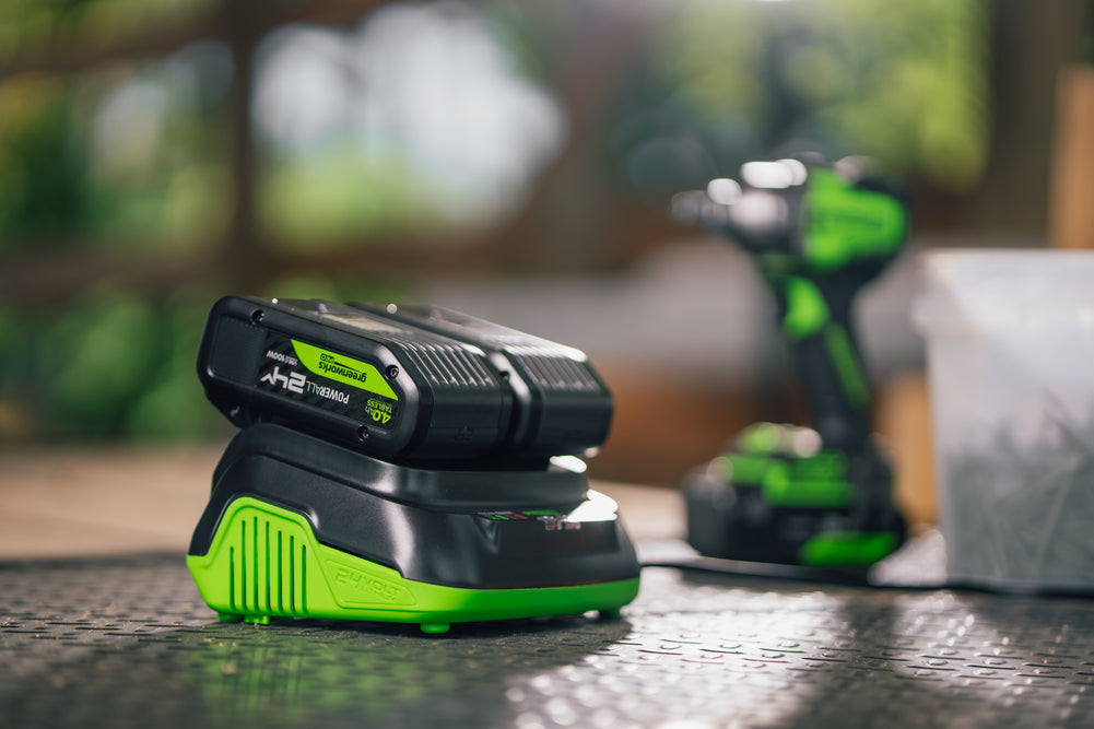POWERALL 24V PRO Dual Slot Charger 8A