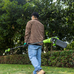 24V Potatore a palo 20cm - Senza batteria